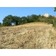 Properties for Sale_Farmhouses to restore_Monte Leone in Le Marche_11